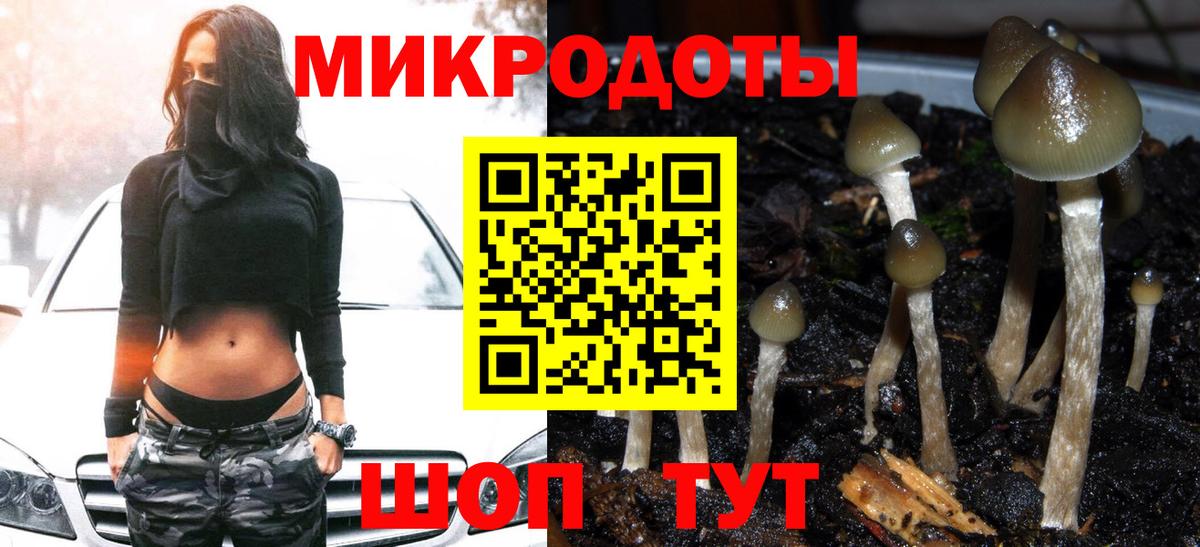 Псилоцибиновые грибы Psilocybine cubensis Егорьевск
