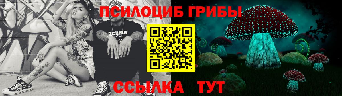 Егорьевск  Псилоцибиновые грибы Psilocybe  Вход с VPN 